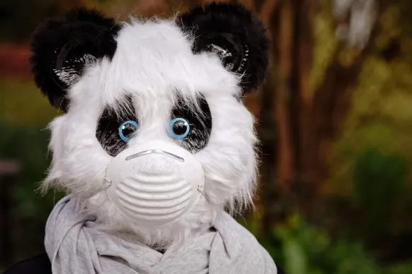 Stay Kasino Sokongan